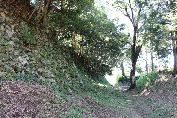 田丸城の土塀と石垣