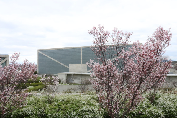 Sayama Pond Museum