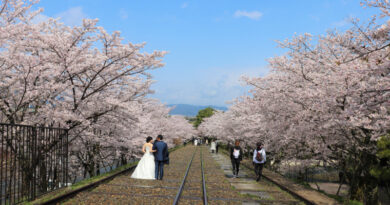 蹴上インクラインとさくら