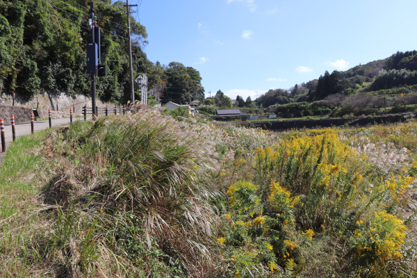 Trail to Kuragari Pass