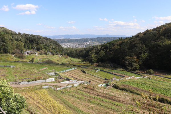 rice filed in Nishihata