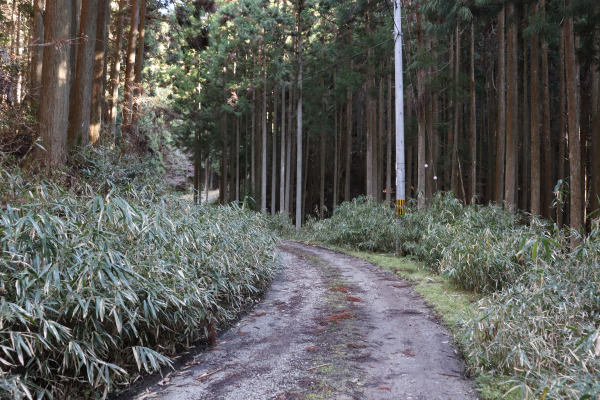 Taking the Ishiwari Pass on the Ise Honkaido