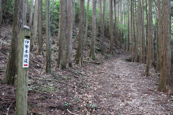 Walking the Kuratori Pass on the Ise Honkaido