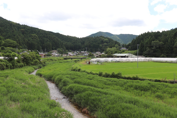 Mitsu village on the Ise Honkaido 