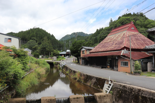 菅野