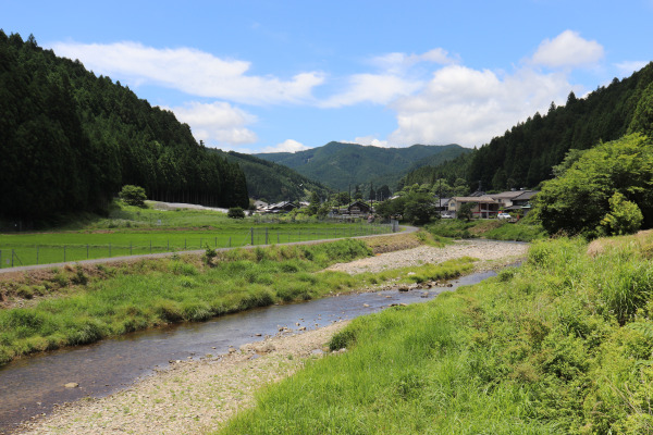 伊勢本街道からの御杖村の眺め