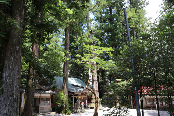 Mitsue Shrine in Mitsue Village, Nara