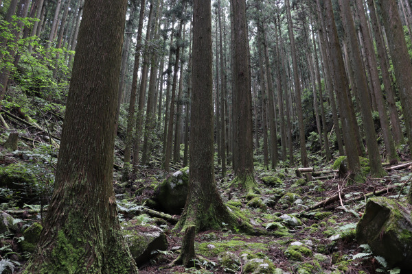 岩坂峠