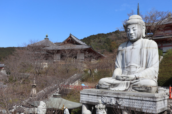 Buddhist statues: Shaka Nyorai of Tsubosaka Temple
