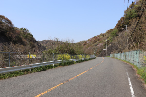 熊野古道・紀伊路の雄ノ山峠