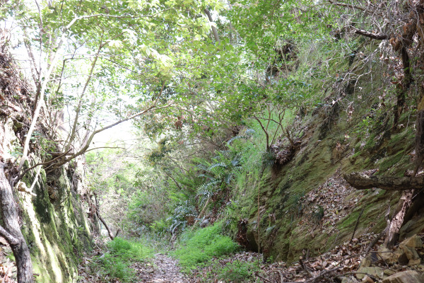Mountain path to Idakiso 