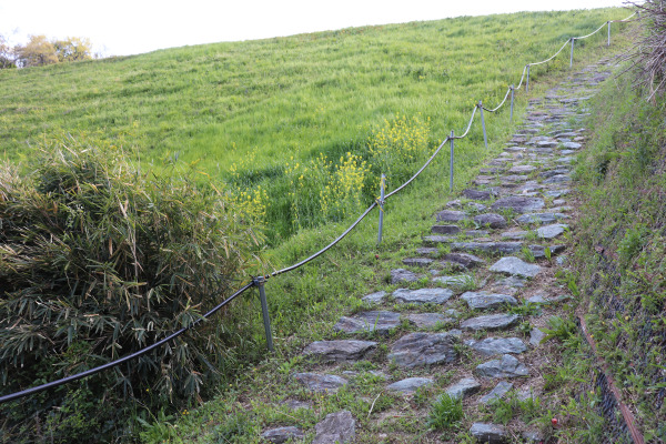 熊野古道・紀伊路の石畳