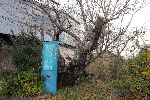 Kumezaki Oji marker along the Kiiji Trail