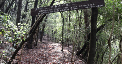 和泉鳥取付近の熊野古道の旧道
