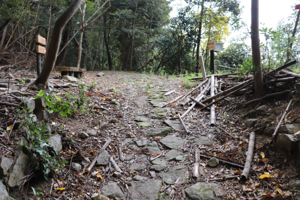 熊野古道・紀伊路の石畳道。