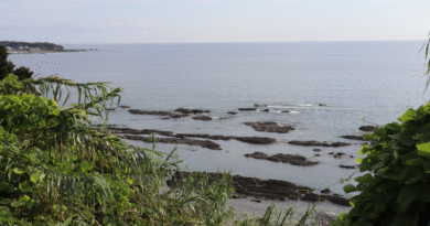 The magnificent ocean view from Kumano Kiiji Trail