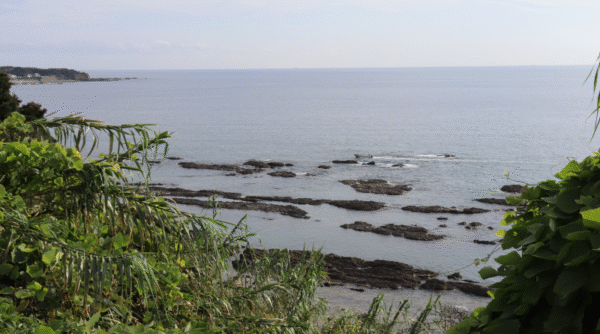 The magnificent ocean view from Kumano Kiiji Trail