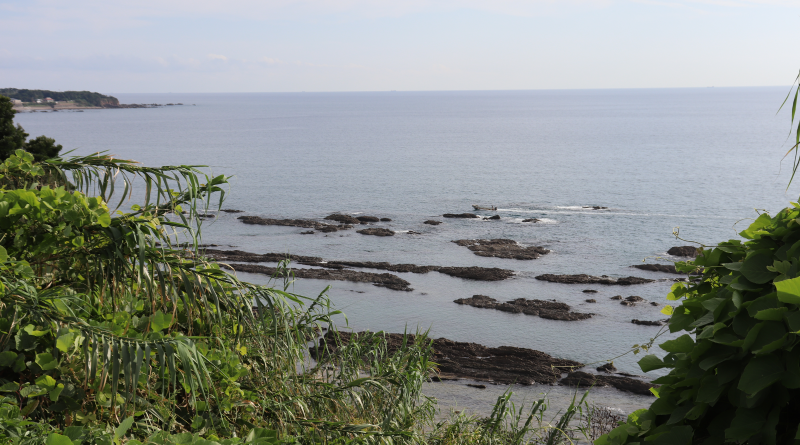 The magnificent ocean view from Kumano Kiiji Trail