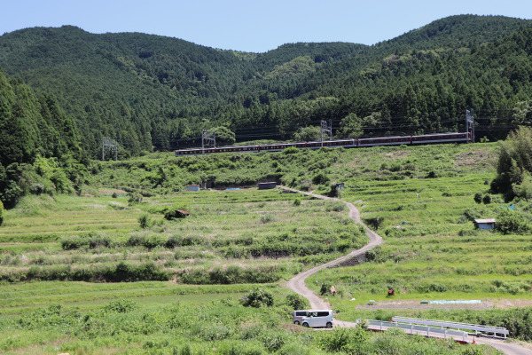 Kintetsu trains going along Hase Kaido 