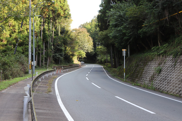 route 166 on Ise Honkaido 