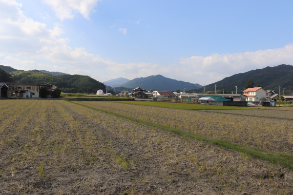 A view on Ise Honkaido 