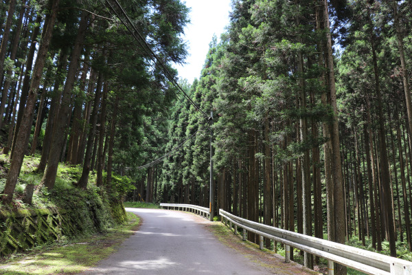 Ushi Pass on the Ise Honkaido 