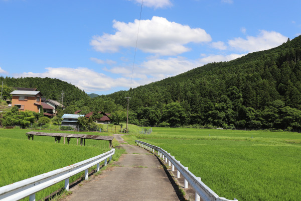 Beautiful countryside in Ishinabara