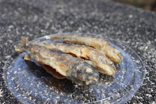 Tempura river trout sold in the store on the Ise Honkaido 