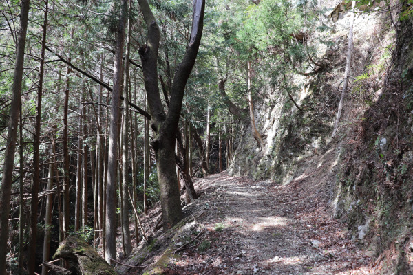 Ise Honkaido near Hissaka Pass