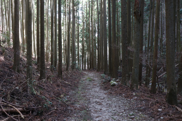 櫃坂峠