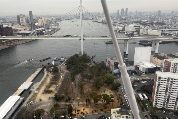 Mount Tempozan from the Ferris wheel