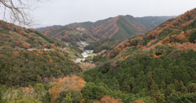 鹿ヶ瀬峠付近からの眺め