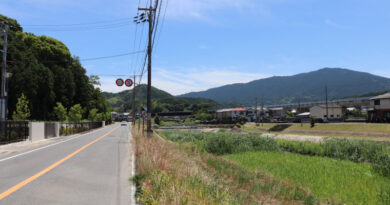 長谷寺へと向かう初瀬街道