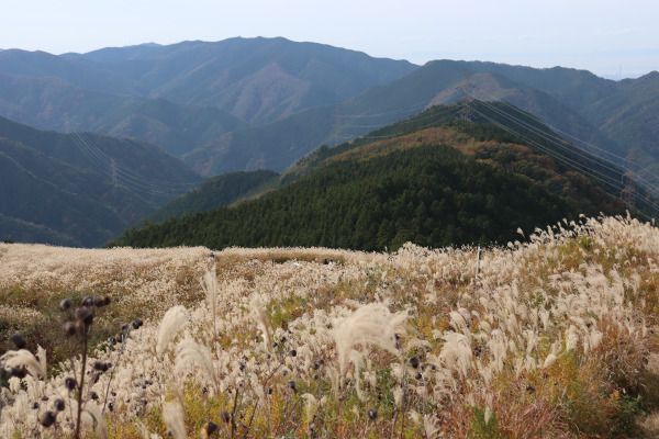 Mt. Iwawaki