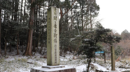 徳川家康本陣の桃配山