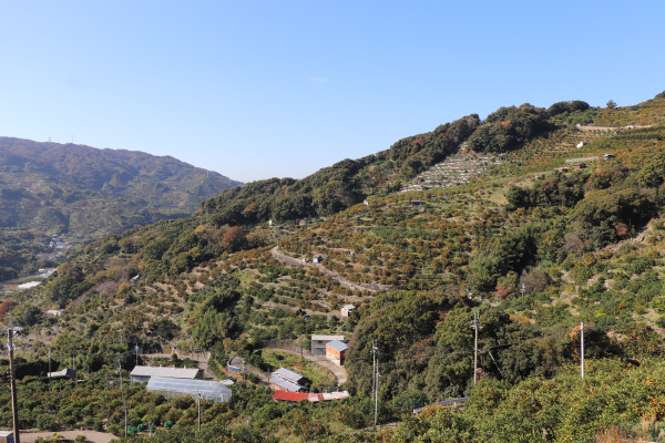 Arida Town on the Kiiji Trail of Kumano Kodo