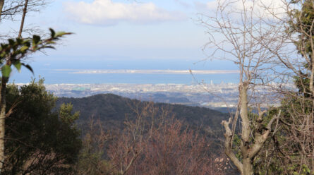 城ヶ峰山頂から