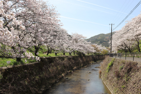 Yamanakadani, Osaka, Japan