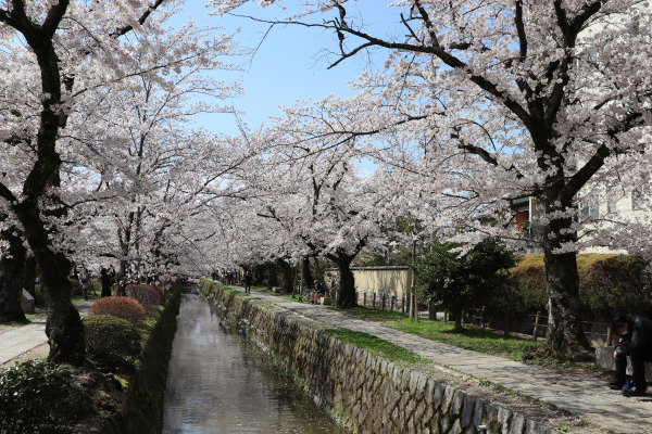 The Philosopher's Path, Kyoto, Japan