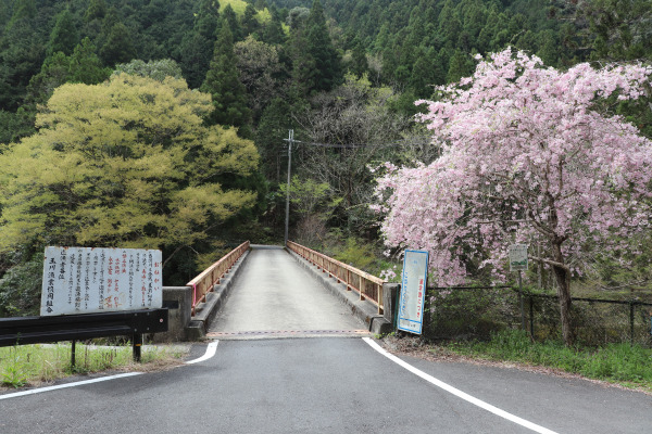 Ichitairabashi Bridge on the Kurokomichi Trail