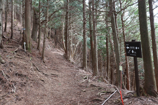 The crossroad to Mt. Yukiikeyama on the Kurokomichi Trail