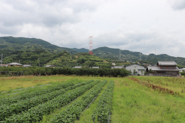 紀伊清水から見た高野山