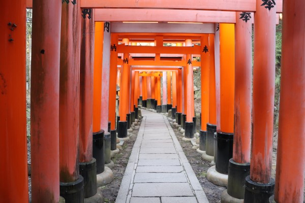 Tunnel of torii on Mount Inari