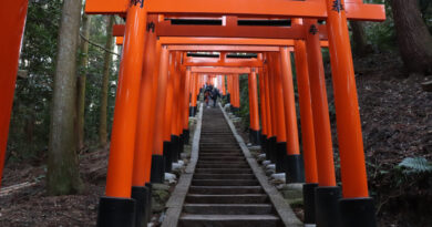 稲荷山の鳥居