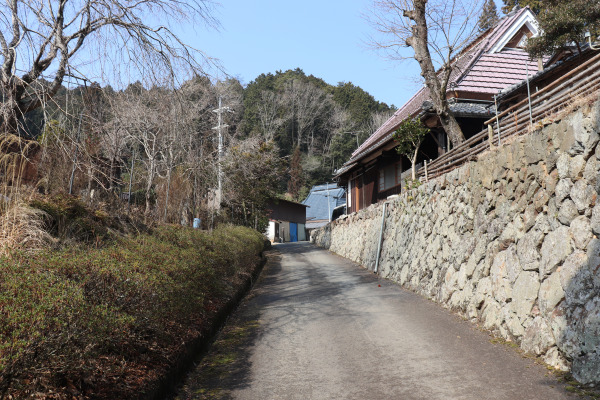 杉谷への道