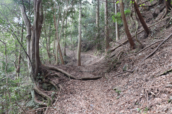 金蔵寺への道
