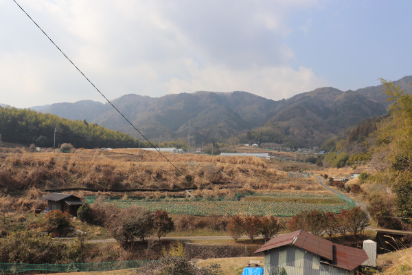 大原野