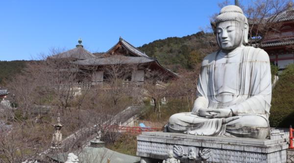 tsubosaka temple