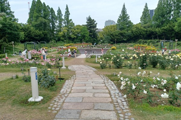 Utsubo Park's rose garden