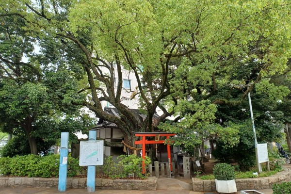 Kusunaga Shrine in Utsubo Park